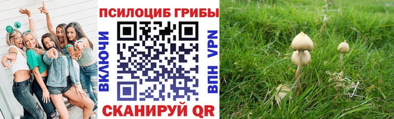 Купить где  Спас-Клепики  Псилоцибиновые грибы ЛСД 